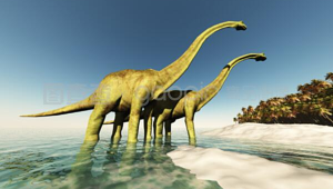 探秘恐龙岛:远古巨兽的神秘家园与惊险冒险之旅